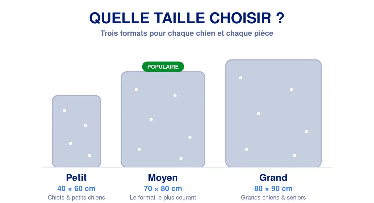 Comparaison des tailles FilouPropre